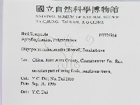 登錄號:F0006964藏品圖，第2張