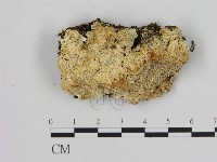 登錄號:F0006964藏品圖，第1張