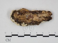 登錄號:F0006965藏品圖，第3張