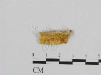 登錄號:F0006966藏品圖，第1張