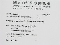 登錄號:F0006967藏品圖，第2張