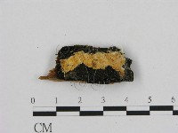 登錄號:F0006967藏品圖，第1張