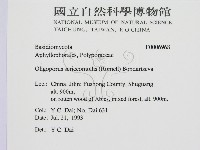 登錄號:F0006968藏品圖，第2張