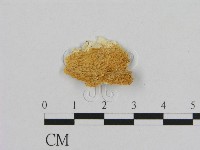 登錄號:F0006969藏品圖，第1張