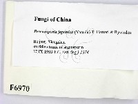 登錄號:F0006970藏品圖，第2張