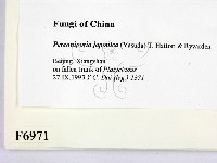 登錄號:F0006971藏品圖，第2張