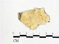 登錄號:F0006971藏品圖，第1張