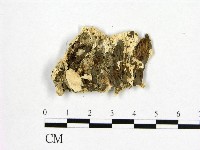 登錄號:F0006971藏品圖，第3張