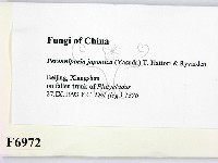 登錄號:F0006972藏品圖，第2張