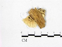 登錄號:F0006972藏品圖，第3張