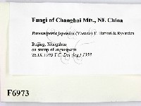 登錄號:F0006973藏品圖，第2張