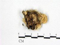 登錄號:F0006973藏品圖，第3張