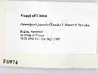 登錄號:F0006974藏品圖，第2張