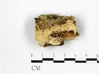 登錄號:F0006974藏品圖，第1張