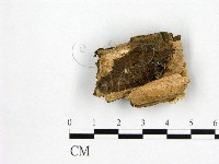 登錄號:F0006974藏品圖，第3張