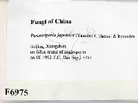 登錄號:F0006975藏品圖，第2張