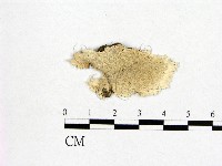 登錄號:F0006976藏品圖，第1張