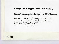 登錄號:F0006978藏品圖，第2張