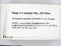 登錄號:F0006979藏品圖，第2張