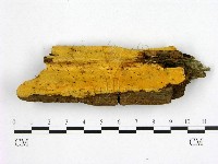 登錄號:F0006979藏品圖，第1張