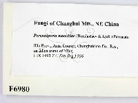 登錄號:F0006980藏品圖，第2張