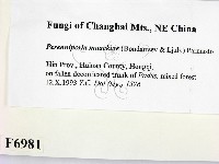 登錄號:F0006981藏品圖，第2張