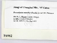 登錄號:F0006982藏品圖，第2張