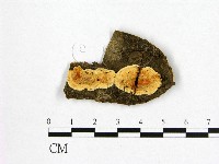 登錄號:F0006982藏品圖，第1張