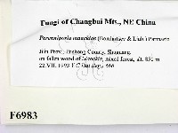 登錄號:F0006983藏品圖，第2張