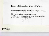 登錄號:F0006985藏品圖，第2張