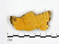 登錄號:F0006985藏品圖，第1張