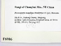 登錄號:F0006986藏品圖，第2張