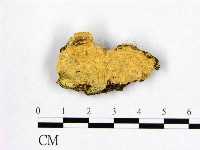 登錄號:F0006986藏品圖，第1張