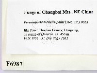 登錄號:F0006987藏品圖，第2張