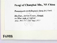 登錄號:F0006988藏品圖，第2張