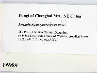 登錄號:F0006989藏品圖，第2張