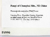 登錄號:F0006990藏品圖，第2張