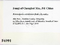 登錄號:F0006991藏品圖，第2張