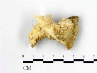 登錄號:F0006993藏品圖，第1張