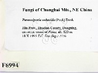 登錄號:F0006994藏品圖，第2張