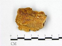 登錄號:F0006995藏品圖，第1張