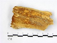 登錄號:F0006996藏品圖，第1張