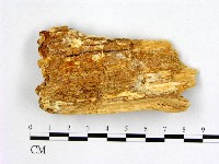 登錄號:F0006996藏品圖，第3張