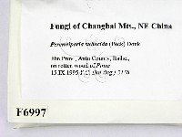 登錄號:F0006997藏品圖，第2張