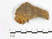 登錄號:F0006998藏品圖，第1張