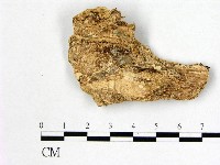 登錄號:F0006998藏品圖，第3張
