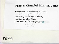 登錄號:F0006999藏品圖，第2張
