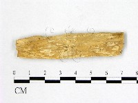 登錄號:F0007000藏品圖，第3張