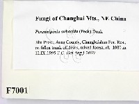 登錄號:F0007001藏品圖，第2張