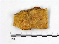 登錄號:F0007001藏品圖，第1張